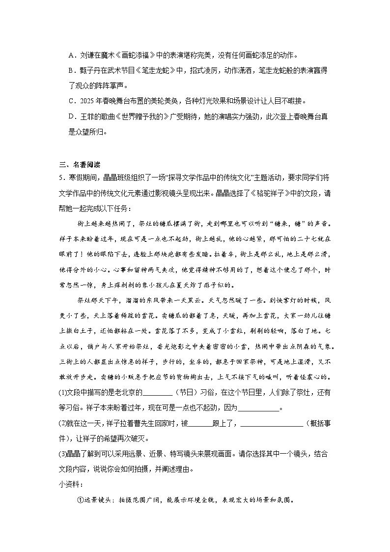 2025年山东省临沂市中考三模语文试题(附答案解析)第2页
