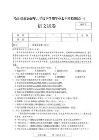 2025年黑龙江省哈尔滨市平房区中考一模语文试题(中考模拟)