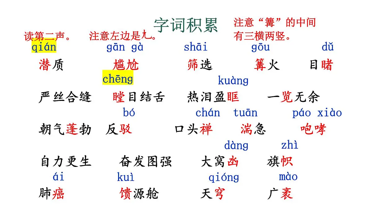 初中语文新人教部编版八年级上册第二单元9 天上有颗“南仁东星”教学课件(2025秋)第8页