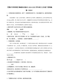 【期末专项训练】基础知识综合练习-语文七年级下册统编版（含解析）