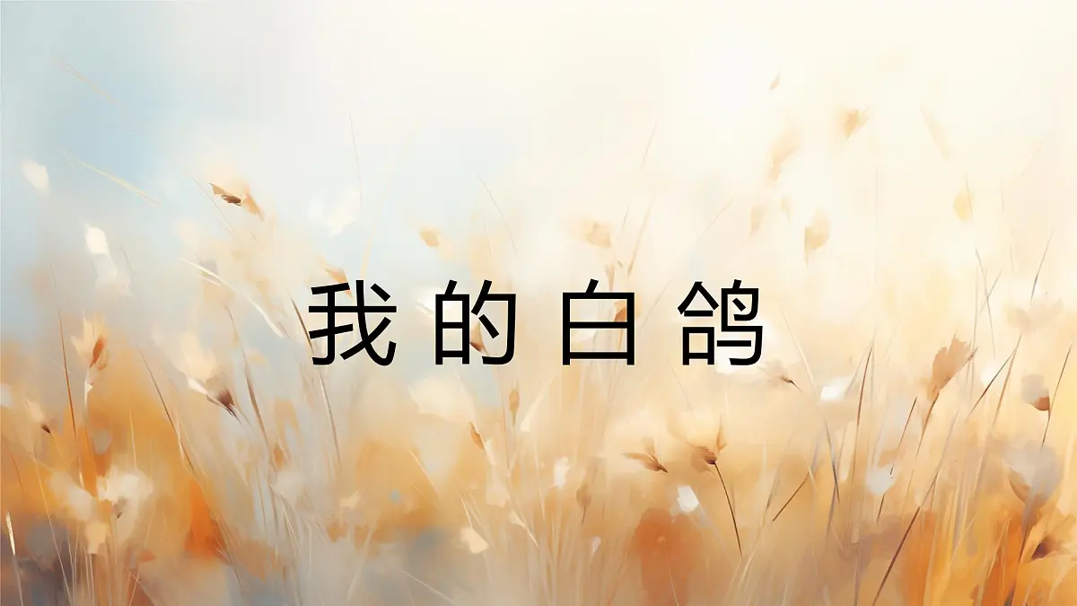 新人教部编版语文七上 5-18《我的白鸽》课件第1页