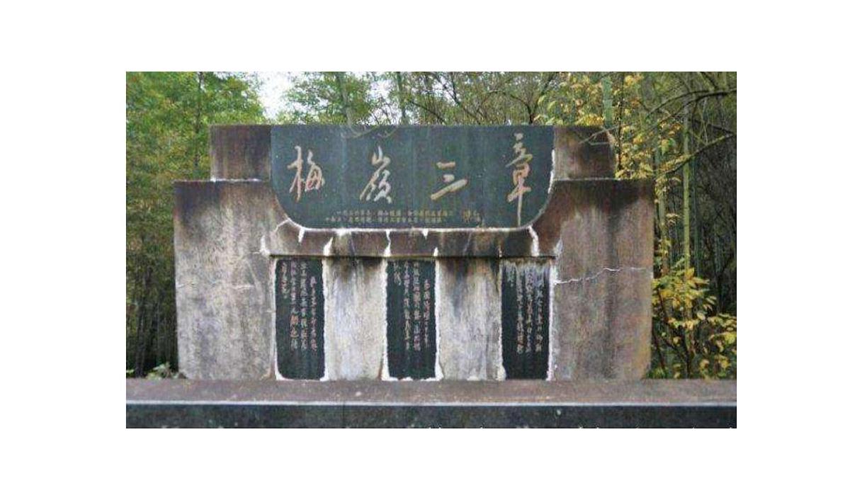 新人教部编版语文七上 4-15《梅岭三章》 课件第6页