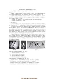 2025年四川省达州市中考真题语文试卷(无答案)