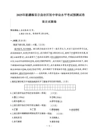 2025年新疆维吾尔自治区中考模拟预测语文试题
