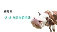 初中记述与动物的相处集体备课课件ppt