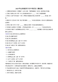 2025年山东省济宁市中考语文三模试题(含答案)