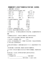 统编版语文七年级下册期末复习练习题（含答案）