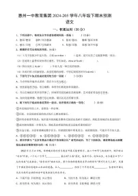 2025年广东省惠州市一中教育集团2024-2025学年八年级下学期期末考试语文试题