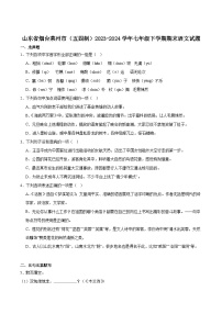 山东省烟台市莱州市（五四制）2023-2024学年七年级下学期期末考试语文试卷（含答案）