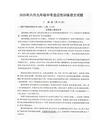 2025年湖北省武汉市黄陂区三模语文试题（pdf版含答案）