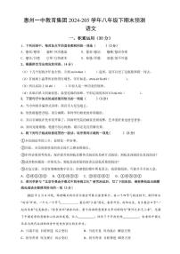 2025年广东省惠州市一中教育集团2024-2025学年八年级下学期期末考试语文试题（中考模拟）