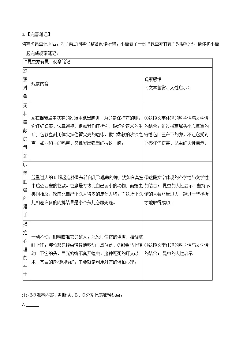 2024-2025学年江苏省宿迁市经开区八年级(上)期末语文试卷-(含详细答案解析)第2页