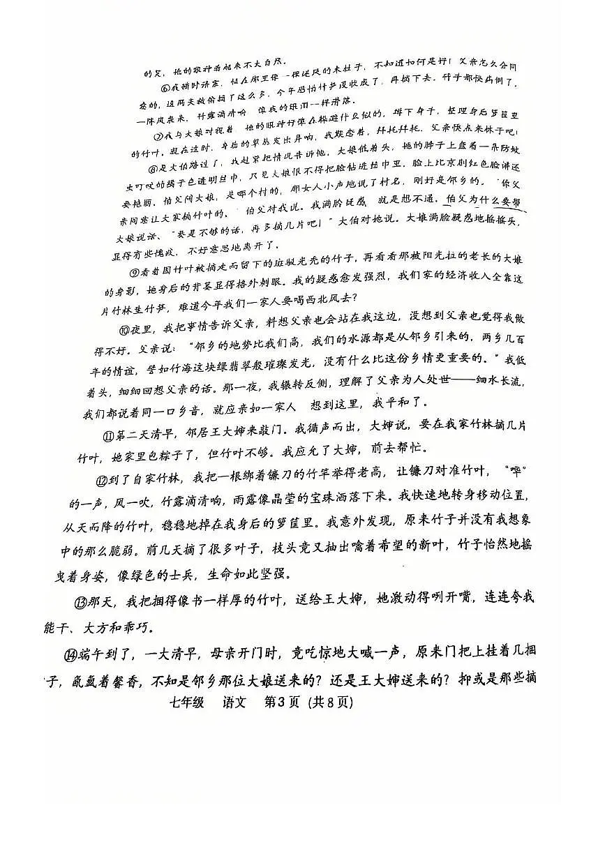 河南省实验中学2024-2025学年七年级下学期期末考试语文试卷(图片版,含答案)第3页