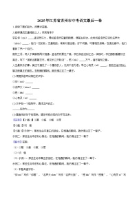 2025年江苏省苏州市中考语文最后一卷（含答案）