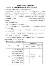 山东省烟台市2025年中考语文真题试题及答案