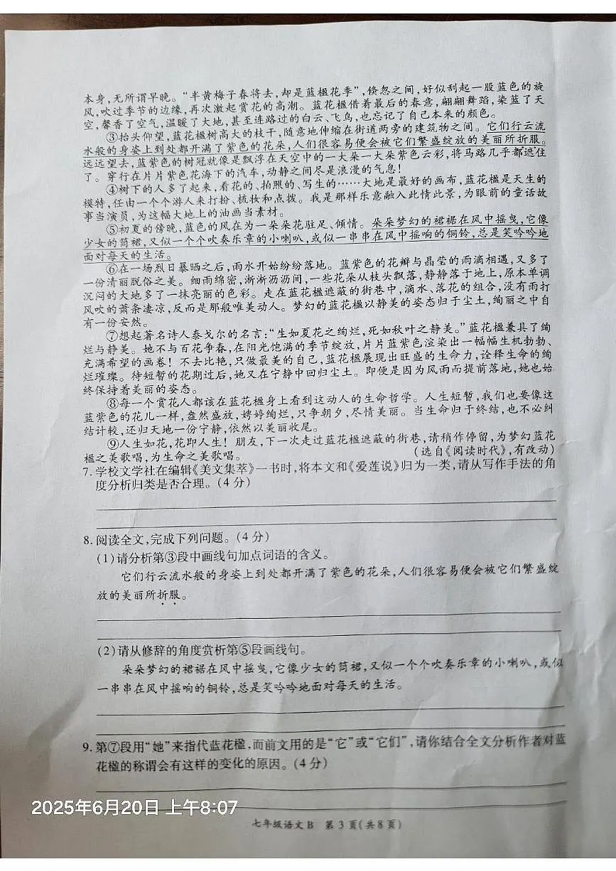 河南省开封市兰考县2024-2025学年七年级下学期期末考试语文试题(pdf版,含答案)第3页