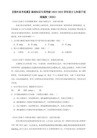 【期末备考真题】基础知识专项突破-语文7年级下册统编版（含解析）