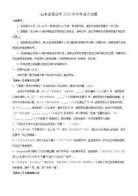 山东省烟台市2025年中考语文真题试题（含答案）