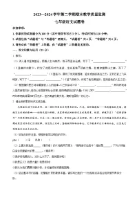 安徽省合肥市包河区2023-2024学年七年级下学期期末语文试题(含答案)