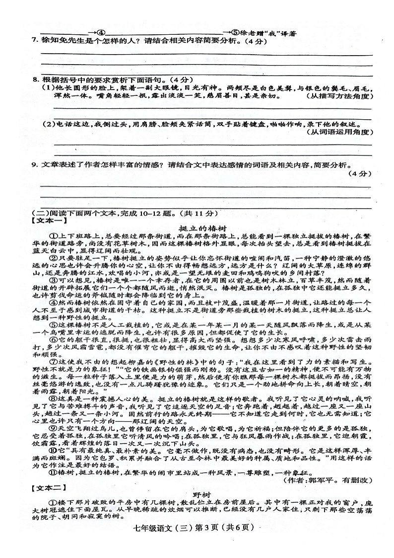 河南省周口市郸城县2023-2024学年七年级下学期5月月考语文试题第3页