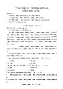 湖南省长沙市宁乡市2024-2025学年八年级下学期6月期末语文试题（PDF版，含答案）