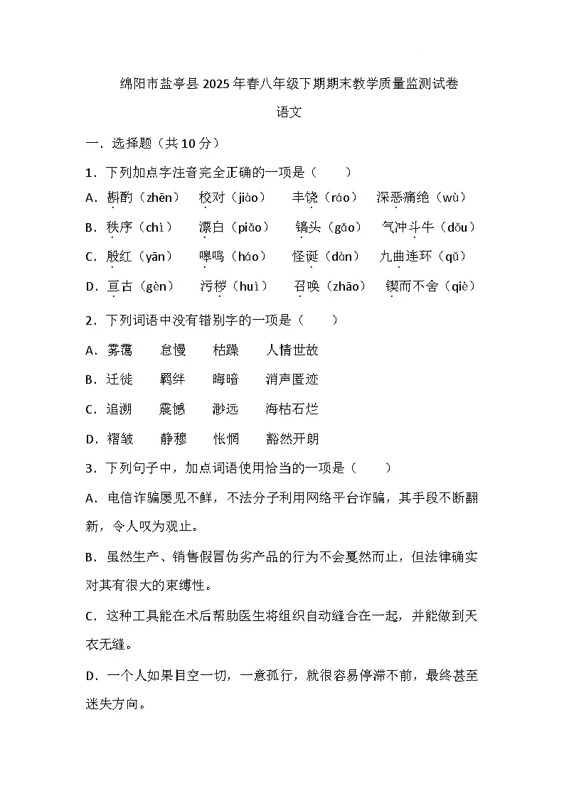 四川省绵阳市盐亭县2024-2025学年八年级下学期6月期末语文试题第1页