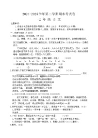 河南省周口市沈丘县两校2024-2025学年七年级下学期6月期末联考语文试题(含答案)