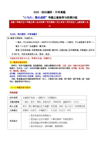 2025 四川绵阳 中考真题“小与大:微光成炬”审题立意指导与拓展训练-2025年中考语文作文真题解析与导写
