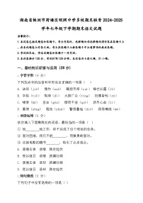 湖南省株洲市荷塘区明照中学多校联考2024-2025学年七年级下学期期末语文试题(含答案)