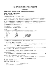 浙江省绍兴市新昌县2024-2025学年七年级下学期期末语文试题（含答案）