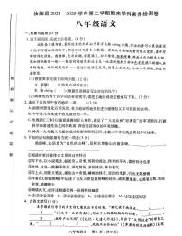 河南省洛阳市汝阳县2024-2025学年八年级下学期6月期末语文试题（PDF版，含答案）