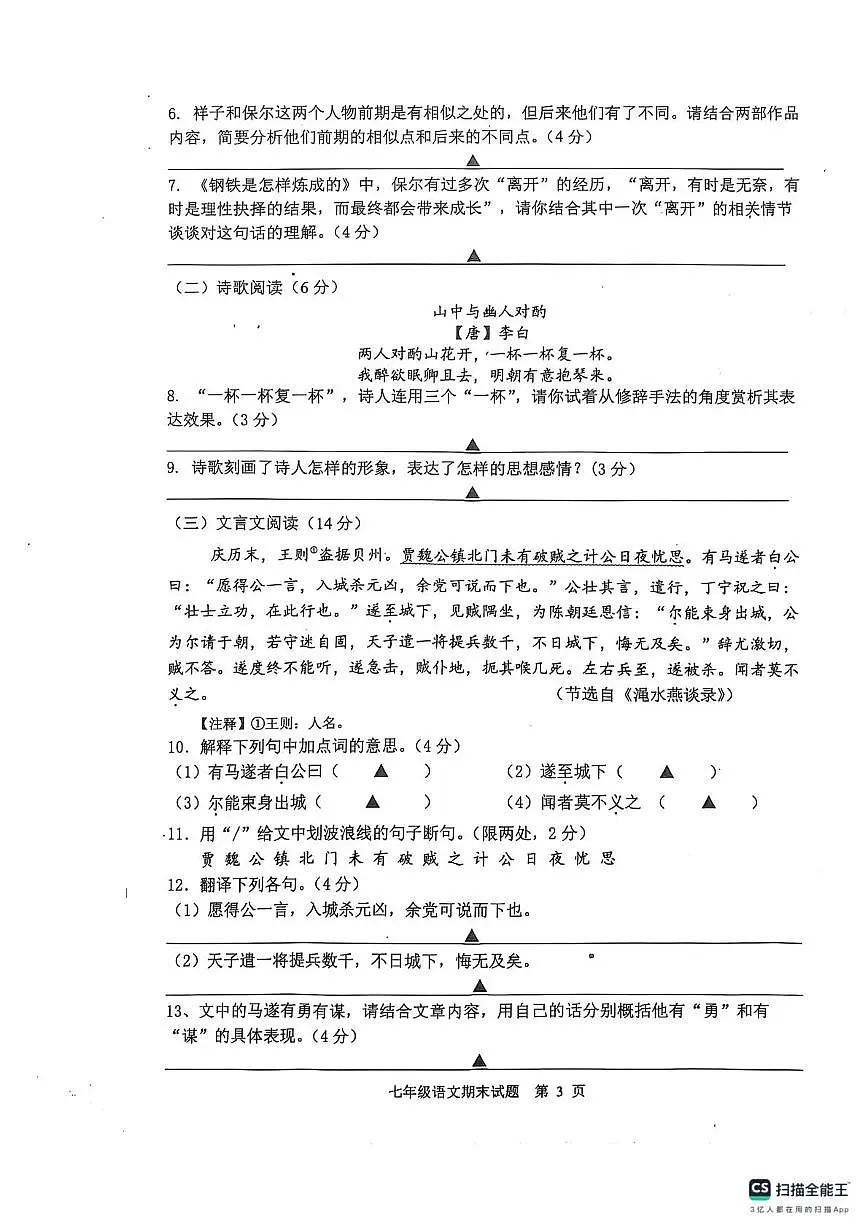2024-2025学年江苏省扬州市宝应县七年级下学期6月期末语文试题第3页