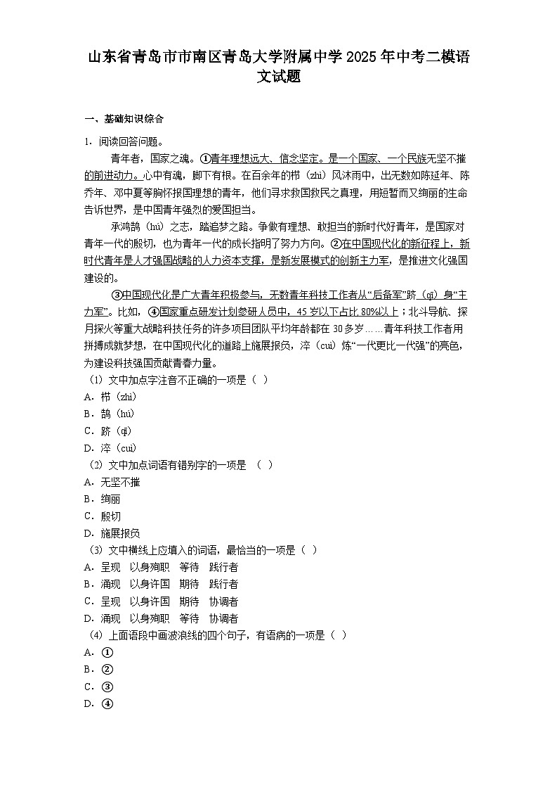 山东省青岛市市南区青岛大学附属中学2025年中考二模语文试题(含答案)第1页