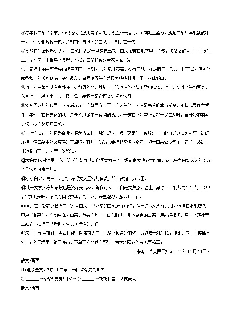 浙江省宁波市镇海区尚志中学2024-2025学年八年级(上)期末语文试卷 (解析版)第3页
