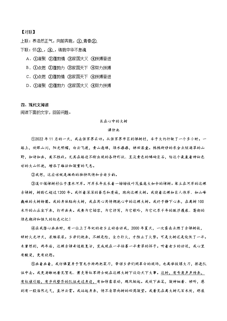 安徽省芜湖市2025届九年级下学期中考三模语文试卷(含答案)第3页