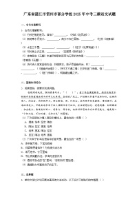 广东省湛江市雷州市部分学校2025年中考三模语文试题（含答案）