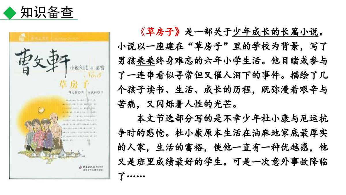 17 孤独之旅-2025—2026学年统编版语文九年级上册课件第6页
