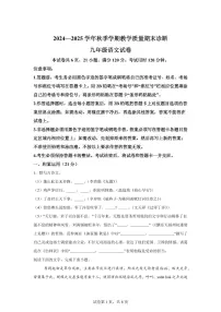 广东省惠州市博罗县2024~2025学年九年级上学期期末语文试题（含解析）