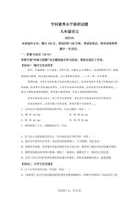 山东省临沂市罗庄区2024~2025学年九年级上学期期末语文试题（含解析）