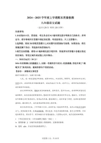 山东省日照市岚山区2024~2025学年九年级上学期期末语文试题（含解析）