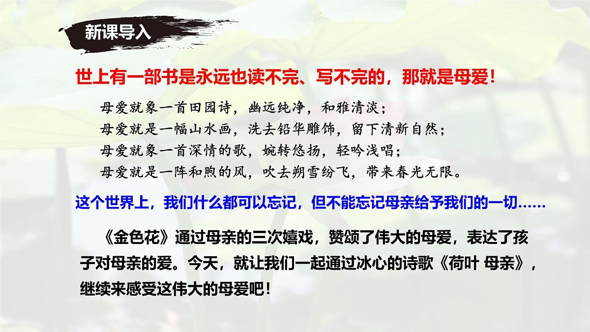 统编版七年级语文上册课件第7课《散文诗二首-荷叶 母亲》第2页