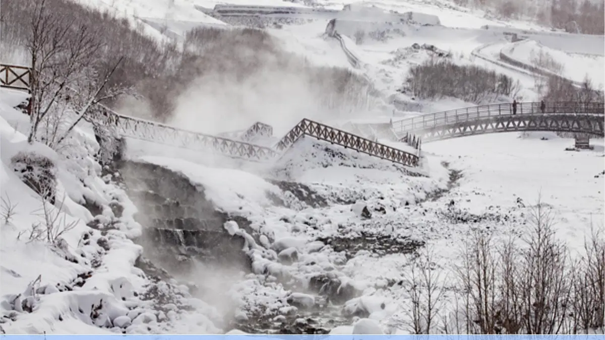 1.沁园春雪-2025—2026学年统编版语文九年级上册课件第2页