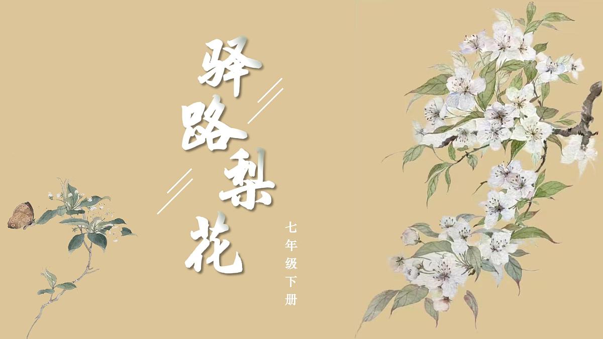七下14.《驿路梨花》课件第1页