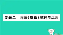 2025九年级语文上册期末专题复习二词语成语理解与运用作业课件新人教版