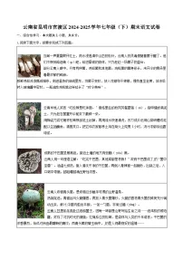 云南省昆明市官渡区2024-2025学年七年级（下）期末语文试题（含答案）
