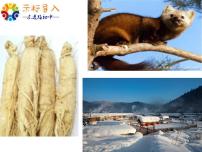 人教部编版（2024）七年级下册（2024）土地的誓言图片ppt课件