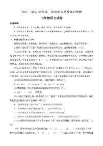 河南省洛阳市伊川县2024-2025学年七年级下学期6月期末语文试题(含答案)