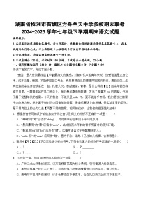 湖南省株洲市荷塘区方舟兰天多校2024-2025学年七年级下学期6月期末考试语文试卷(含答案)