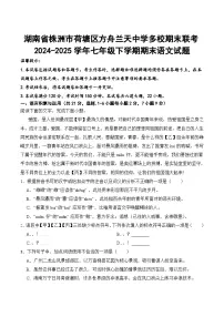 湖南省株洲市荷塘区方舟兰天多校2024-2025学年七年级下学期6月期末考试语文试卷(含答案)