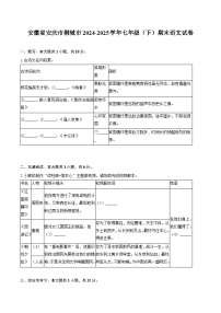 安徽省安庆市桐城市2024-2025学年七年级（下）期末语文试题（含答案）